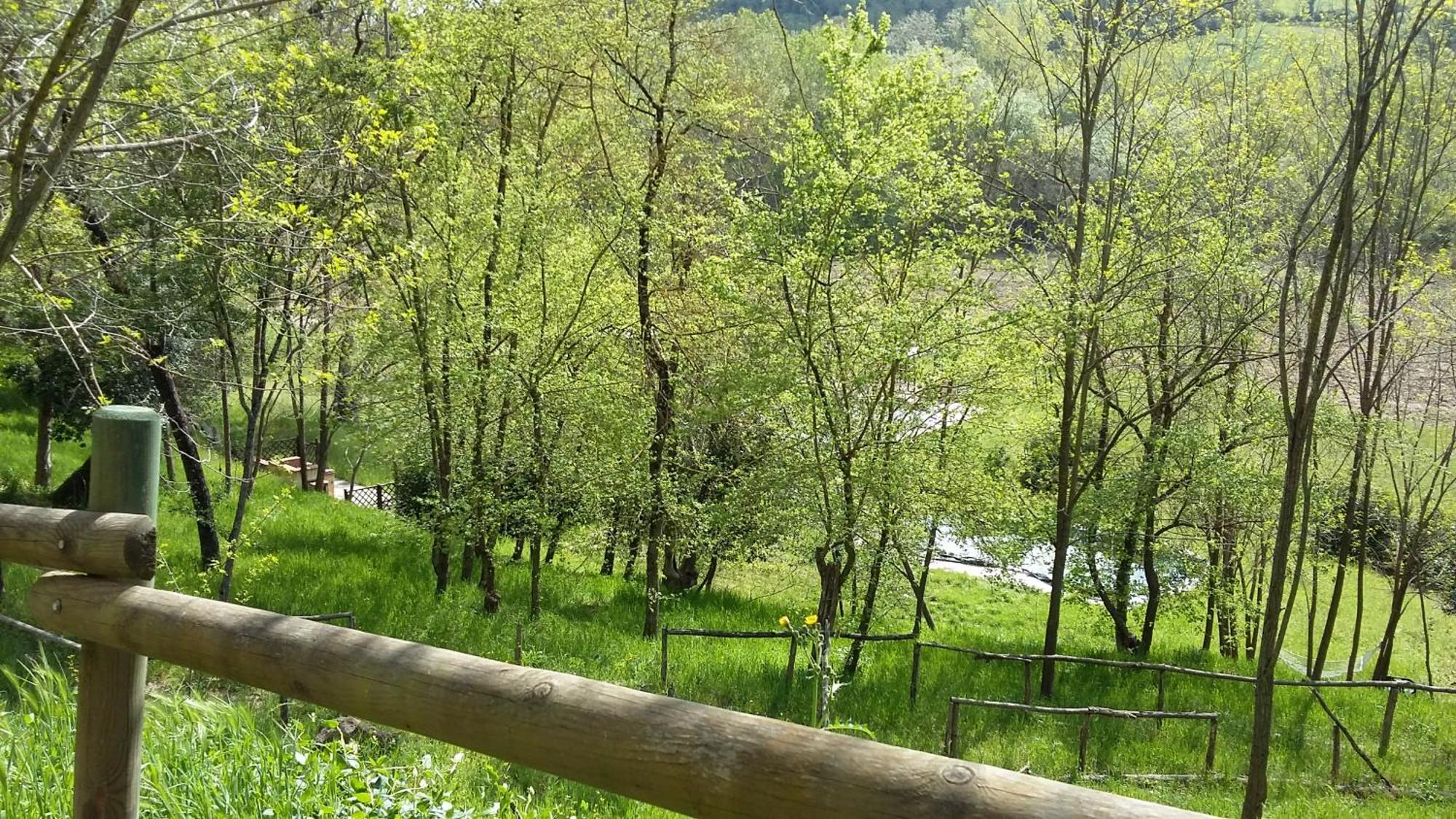 Agriturismo Alle Rose Volterra Exterior foto